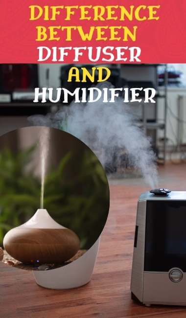 What-is-the-Difference-Between-Diffuser-and-aHumidifier