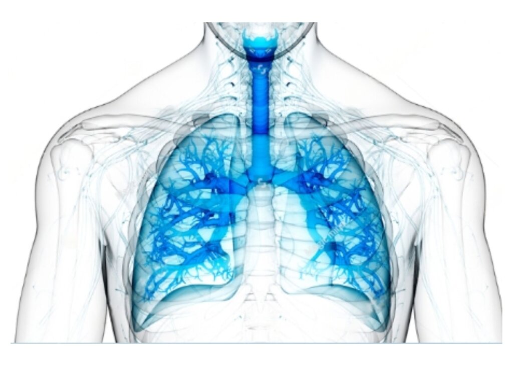 How to use Essential Oils for Respiratory Problems