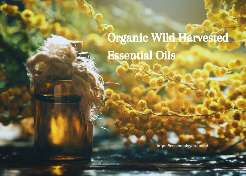 Organic Wild Harvested Essential Oils